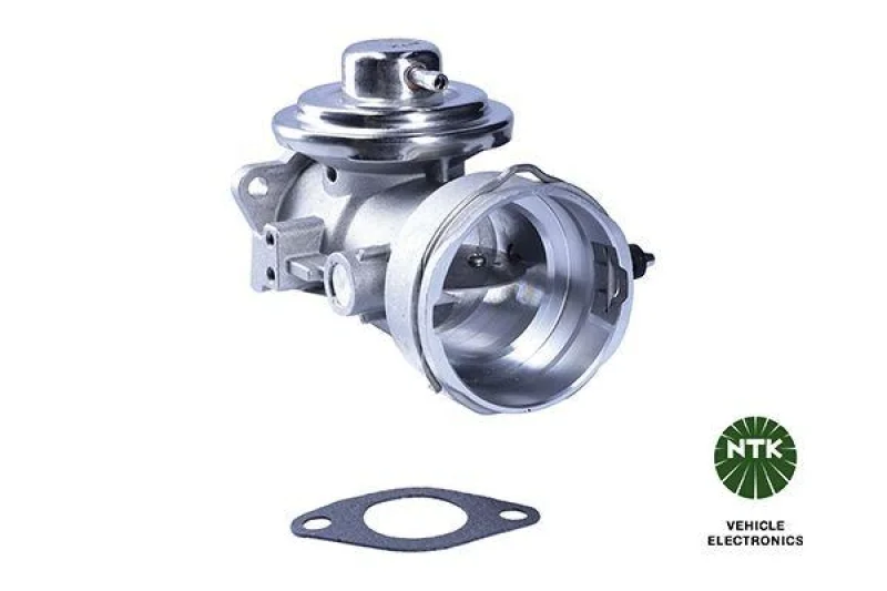 lott-1244665