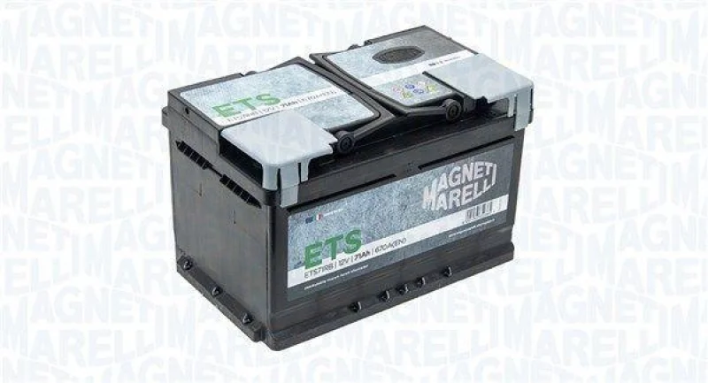 lott-447954