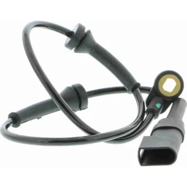 moto100-330066