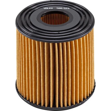 moto100-650291
