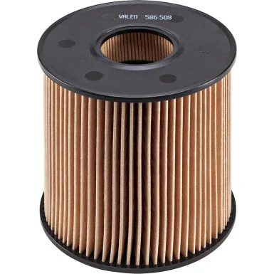 moto100-650528