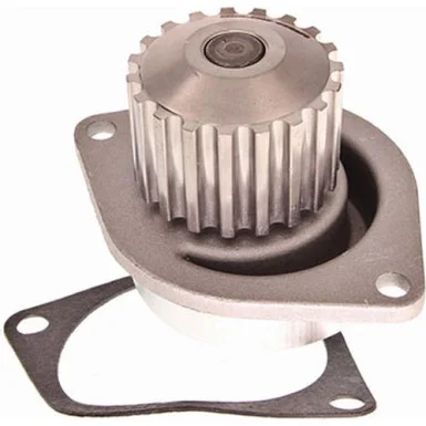 moto100-917384