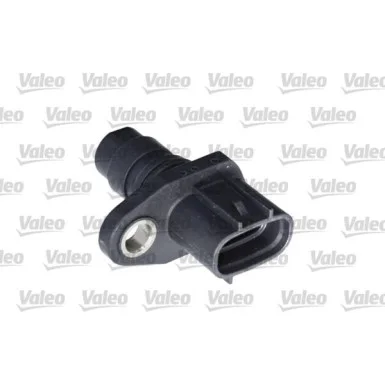moto100-948221