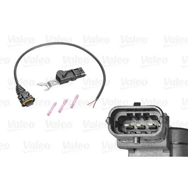 moto100-949228